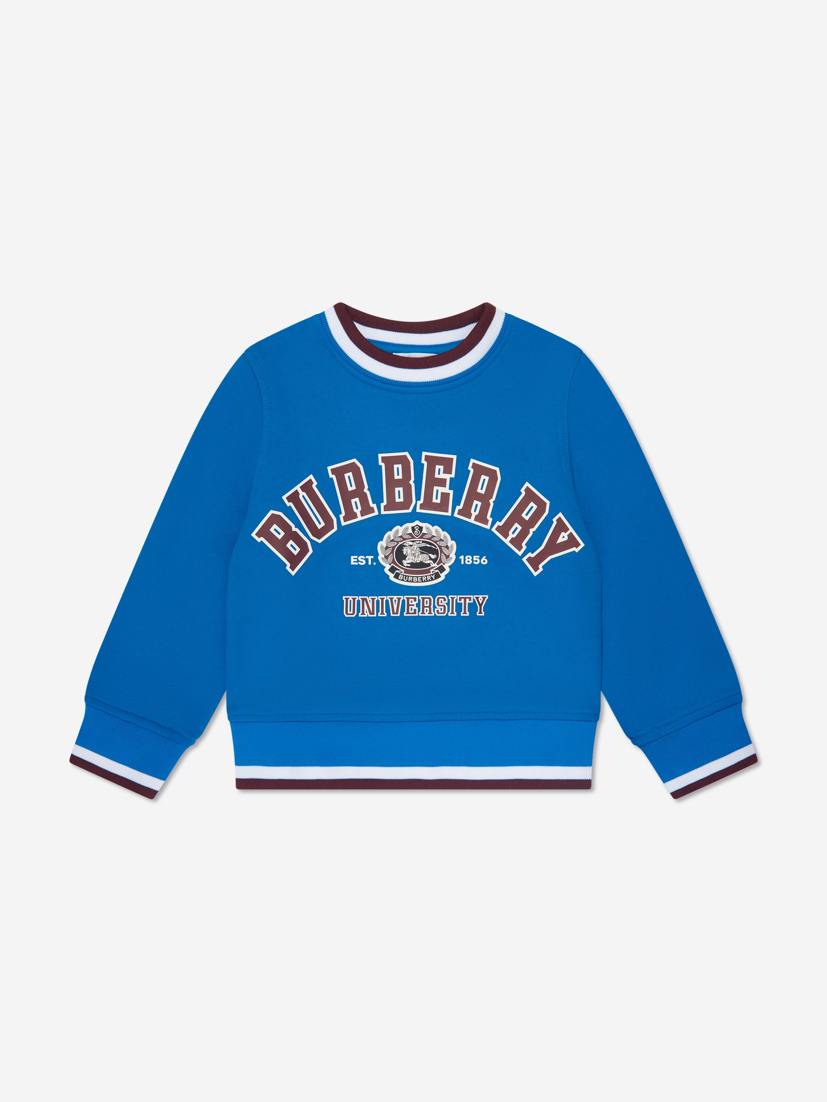 Burberry store blue sweatshirt