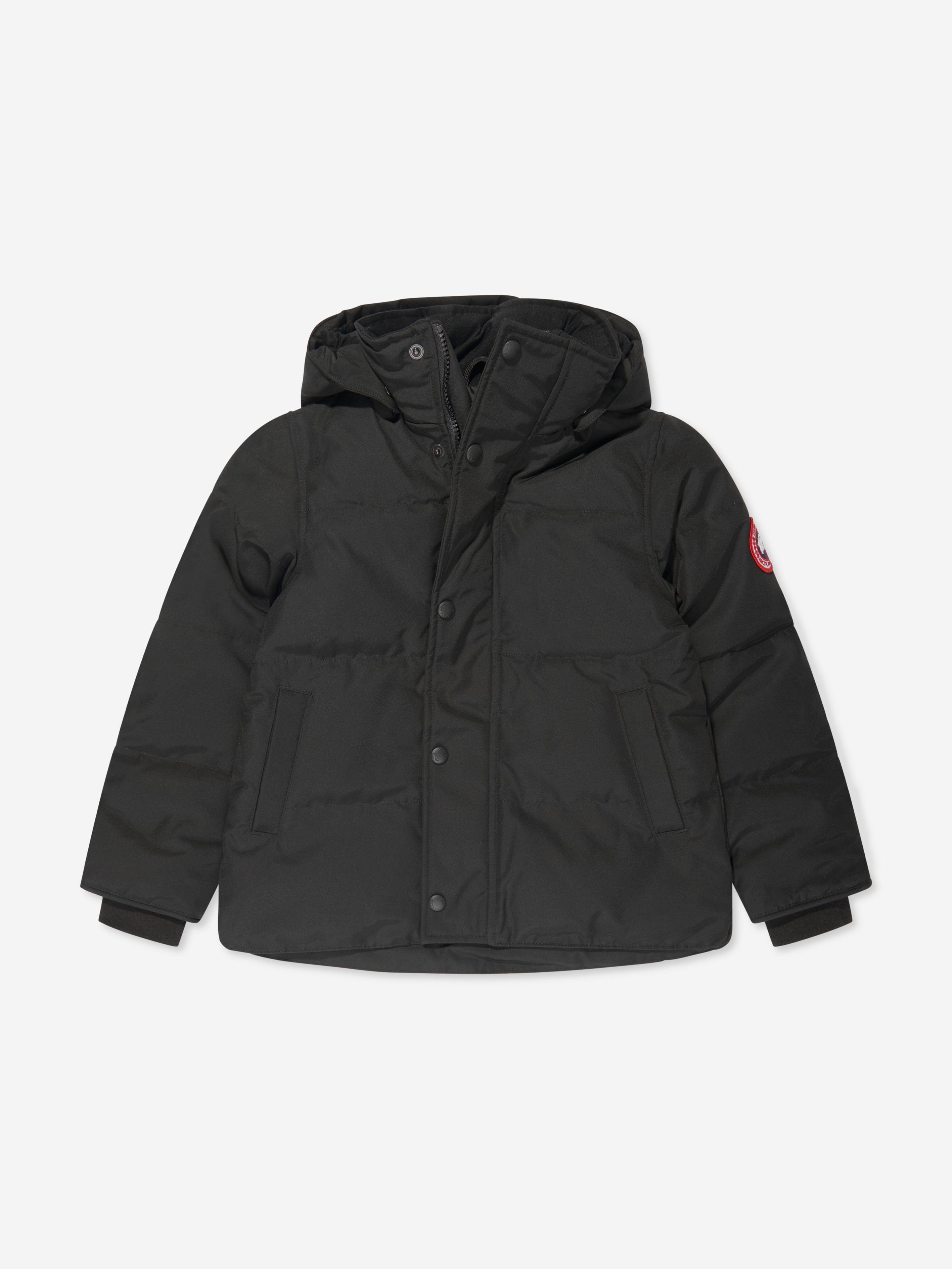 Canada goose snowy hot sale owl