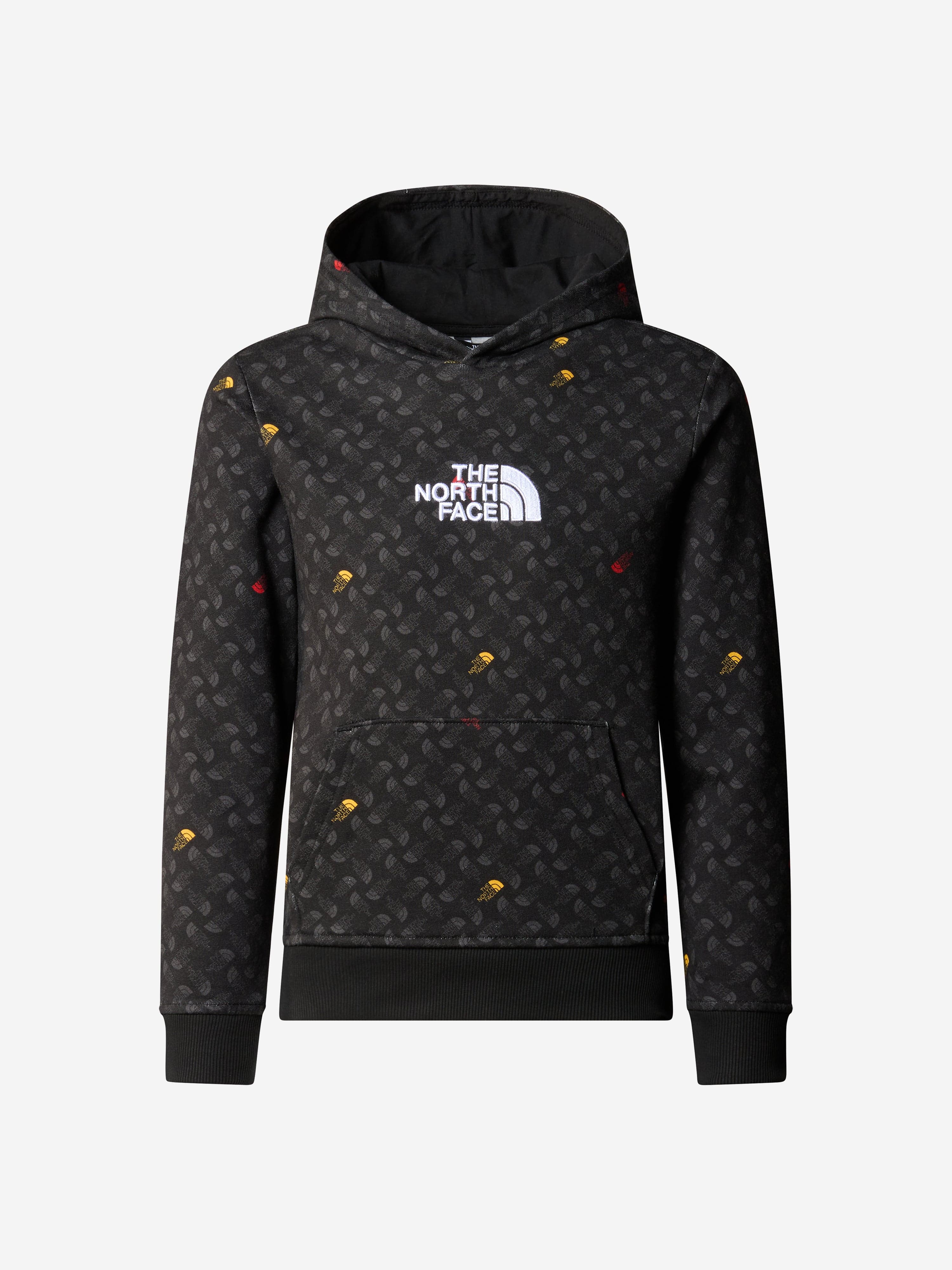 The north face discount youth drew peak hoodie