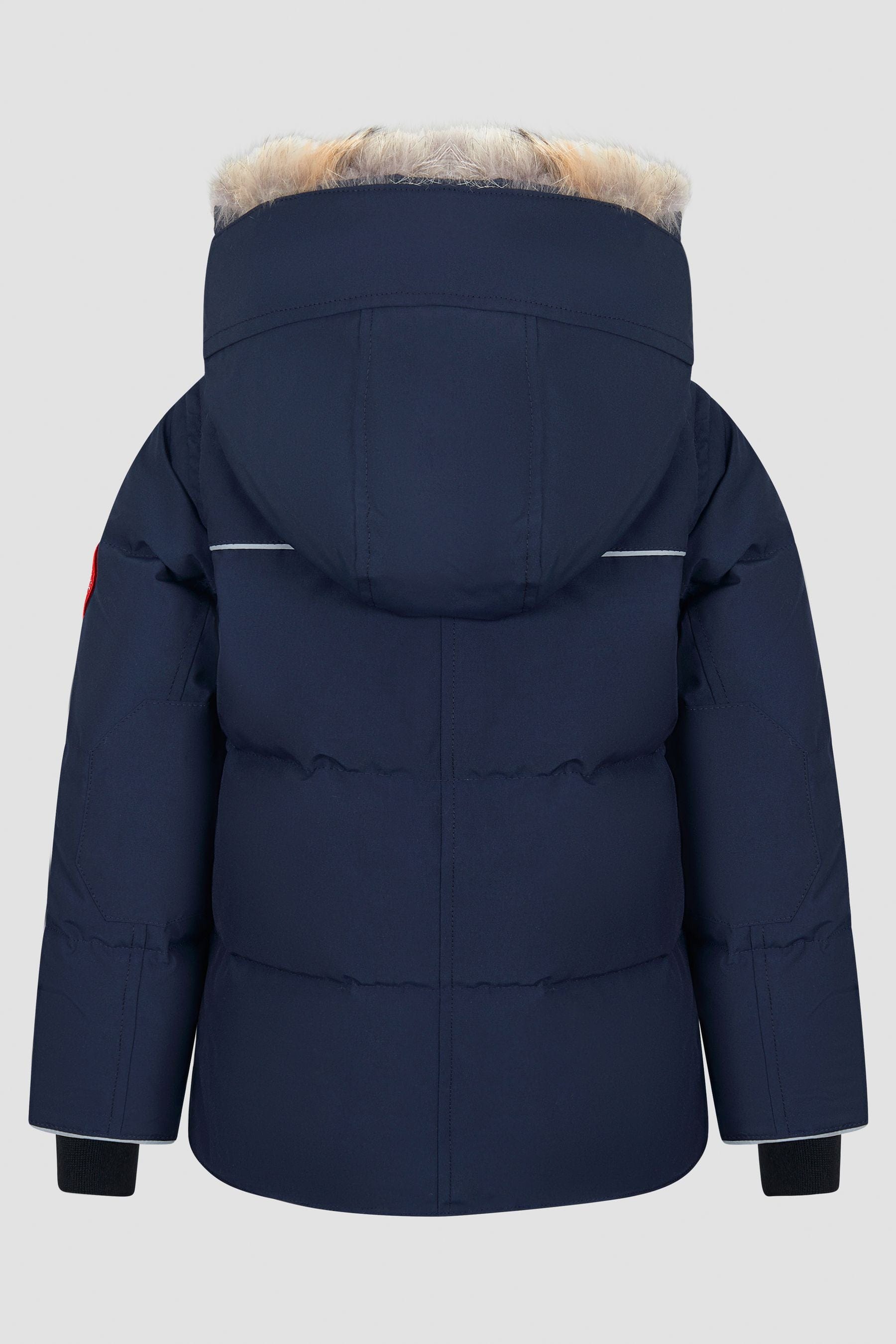 Canada goose owl online